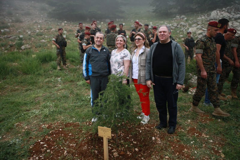 Cedar tree in memory of the Lebanese Commandos Regiment founder